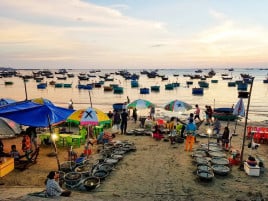 Hướng dẫn mua sắm không bị chặt chém tại chợ hải sản Mũi Né